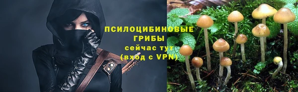 дурь Магадан