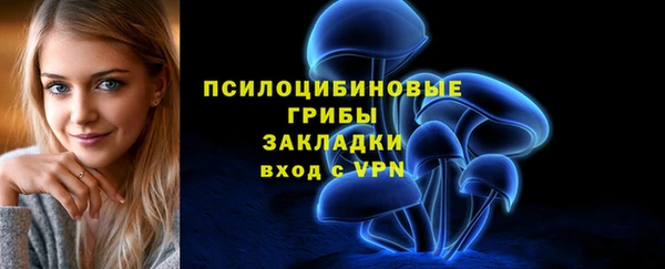 Альфа ПВП Лиски